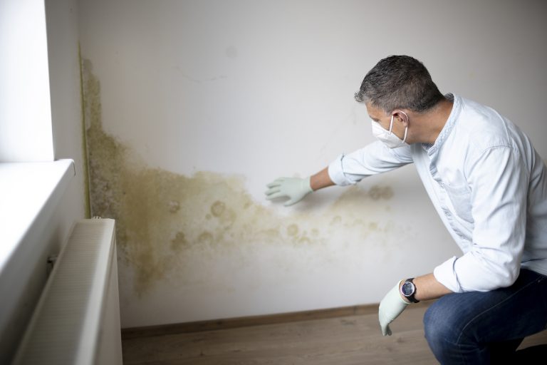 rising damp oxfordshire